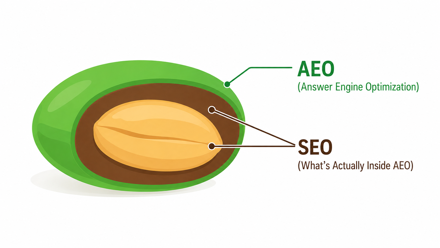 Diagram: AEO is the whole fruit (Answer Engine Optimization), SEO is the core inside it (what's actually inside AEO)