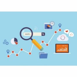 Goepps search engine optimization 2